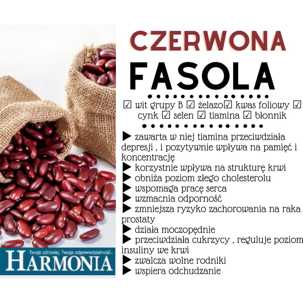 Czerwona fasola