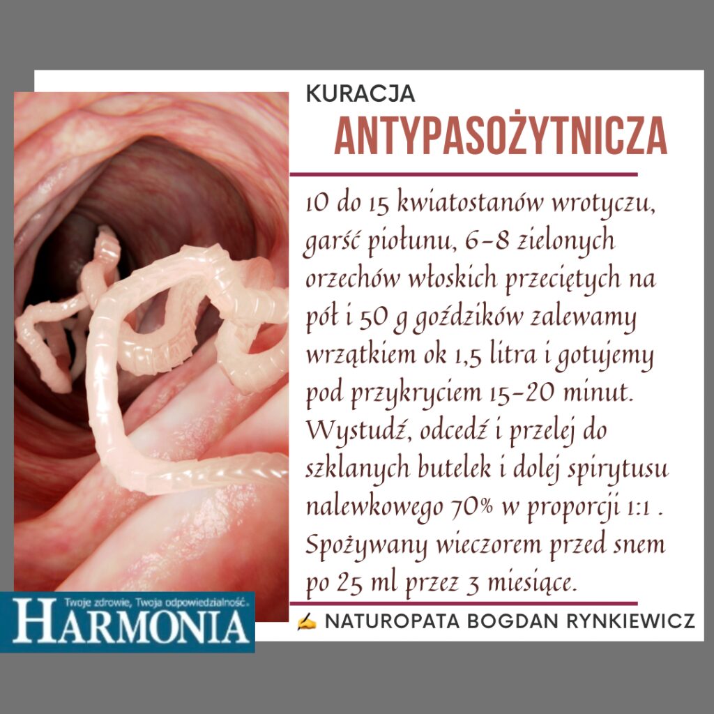 Goździki